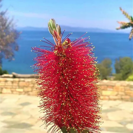 Traditional Luxury House Kedavros *